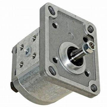 David Brown Hydraulic Gear Pump - P2AP1909B2B26A