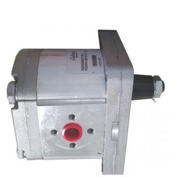 Deutz Hydraulic Pump 