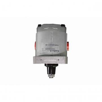 FIAT Hydraulic Pump Bosch