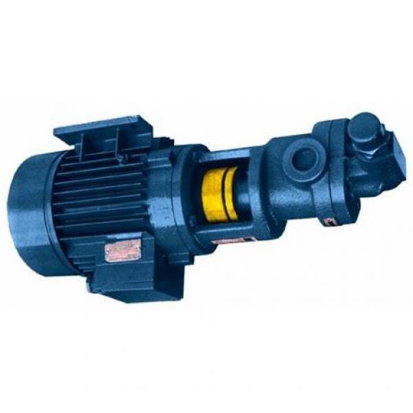 Genuine Parker/JCB Hydraulic pump with Gear 20/902700 & 20/917400 Made in EU #2 image