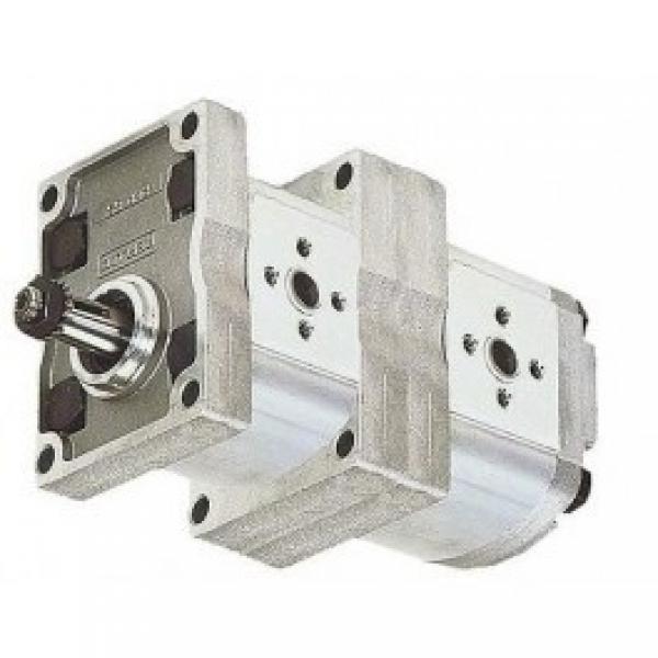 22 GPM Hydraulic Two Stage Hi-Low Gear Pump At 3600 Rpm #2 image