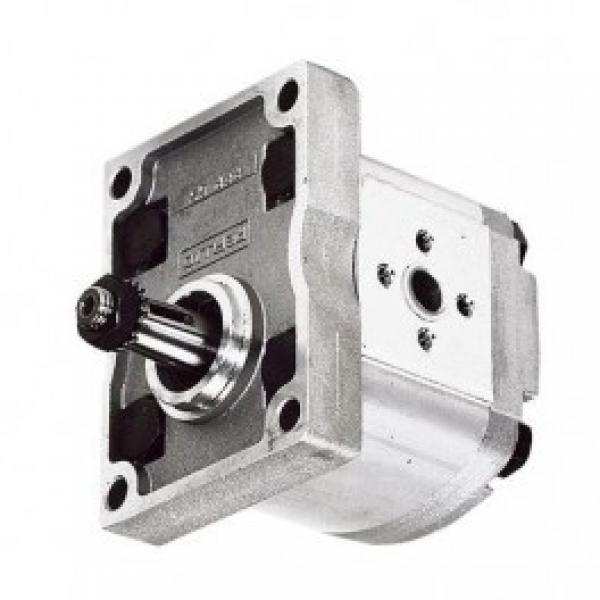 Galtech Hyd Gear Pump Group 1, PCD Flange ports 1 1:8 Taper Shaft, 4 Bolt Flange #1 image