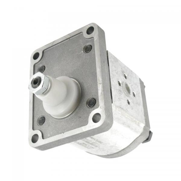 ATOS Aluminium Gear pump group 3 PFGXF/340 39.4 CC/rev 200 bar #3 image
