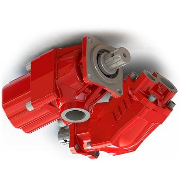 Pompa idraulica per trattore e spaccalegna GR2 C 55 DX #2 image