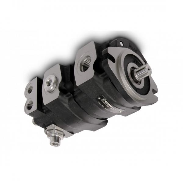 10A(C)3,15X053G Caproni Hydraulic Gear Pump Stage Group 2 Roquet Casappa Motor #1 image