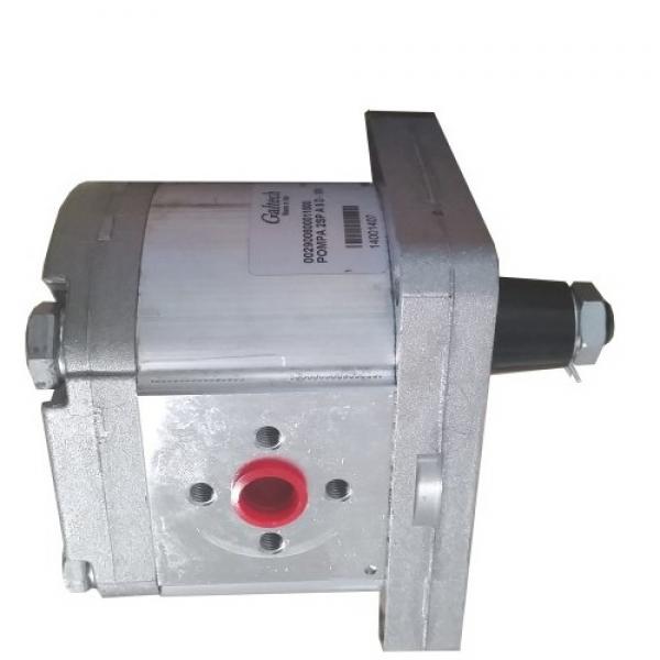 Deutz Hydraulic Pump  #1 image